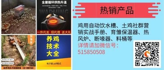 2019年5月31日全國肉毛雞市場(chǎng)價(jià)格分析與行情參考