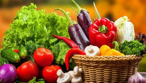 垃圾分類新潮流 苗木廢棄物如何處理？生活垃圾分類實(shí)用小妙招