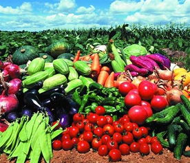 福永、沙井及深圳地區(qū)的農(nóng)產(chǎn)品與綠植服務(wù)概覽 蔬菜配送、批發(fā)與苗木供應(yīng)