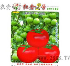 生機(jī)勃勃的后院 瓜果蔬菜種子與苗木選購(gòu)指南