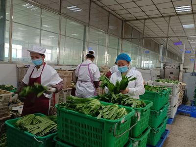 桐梓 多重守護(hù) 保障學(xué)生“舌尖上”的安全