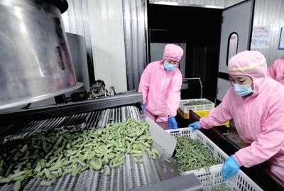 資本入局，電商煥新 生態(tài)循環(huán)農(nóng)業(yè)與農(nóng)村電商共繪鄉(xiāng)村振興新圖景